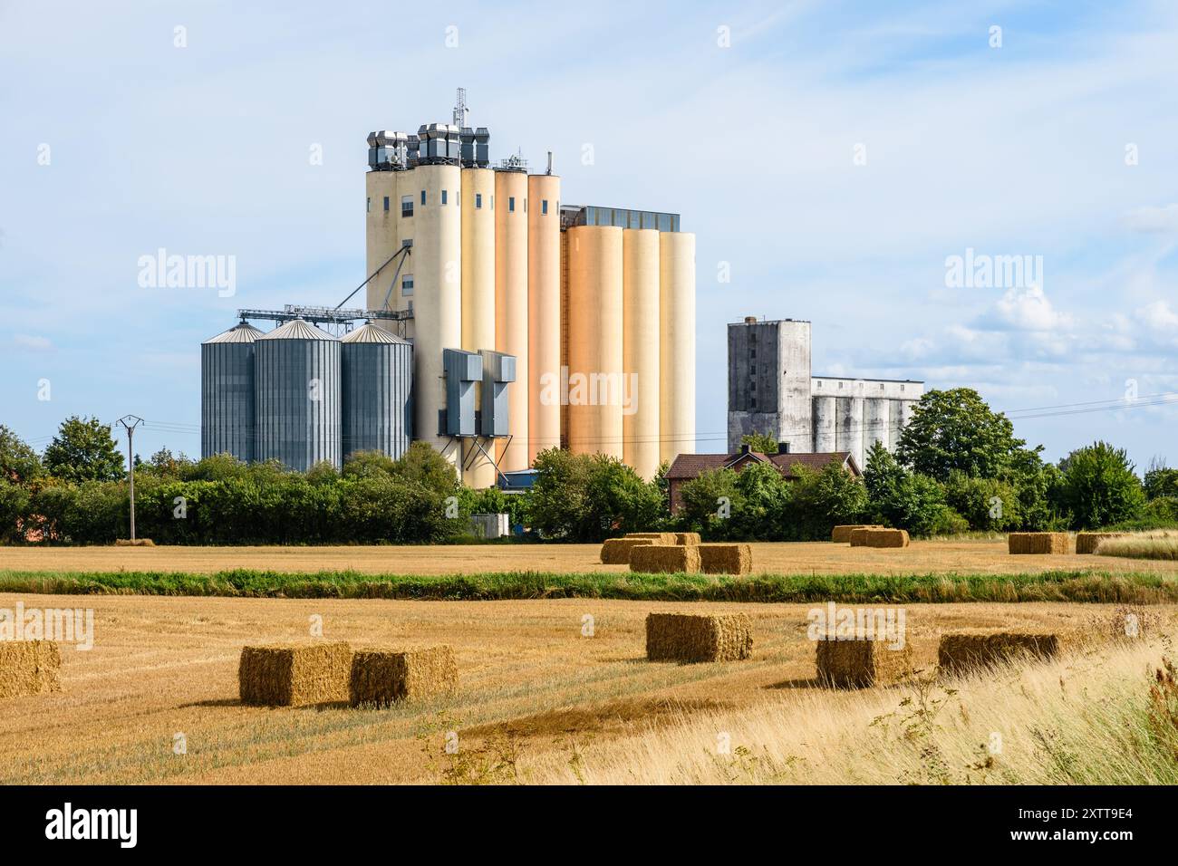 Deux silos de tour de grain dans la campagne avec des balles de paille au premier plan sur une journée d'été ensoleillée. Banque D'Images
