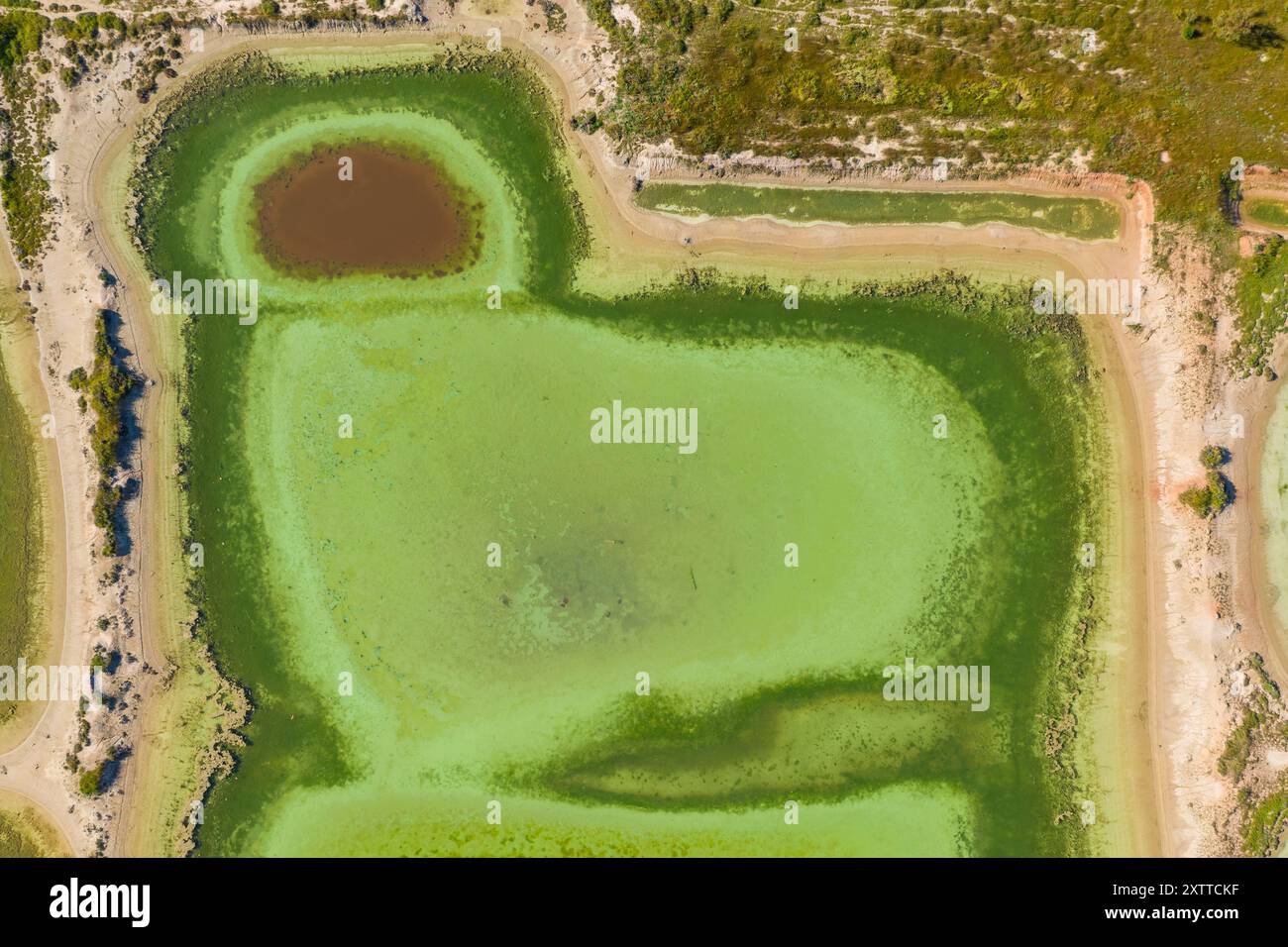 Vue aérienne des étangs de décantation couverts d'algues vertes vives dans le bassin de Waranga dans le Victoria, Australie. Banque D'Images