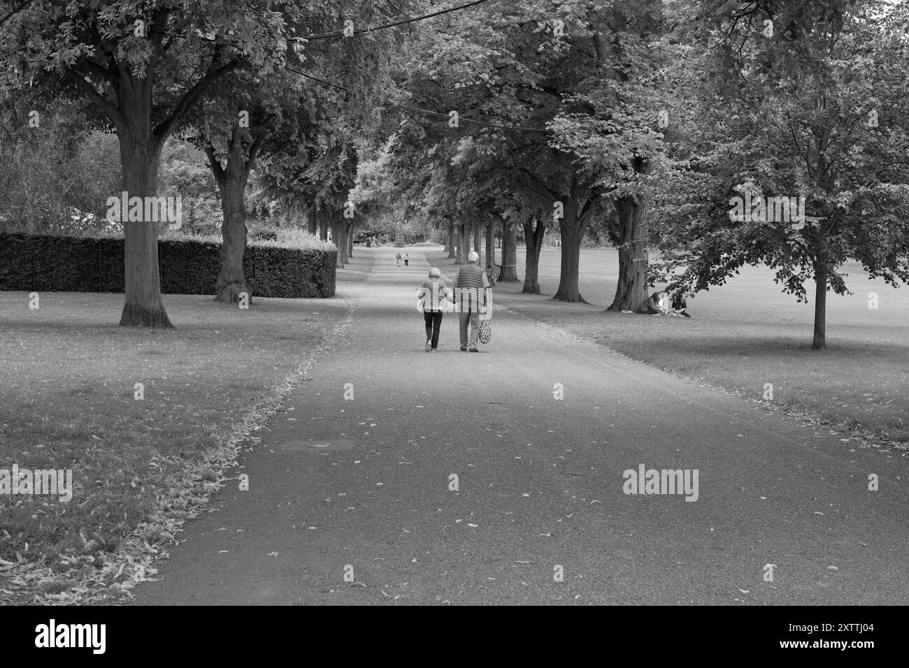 Couple Walking in Park Banque D'Images