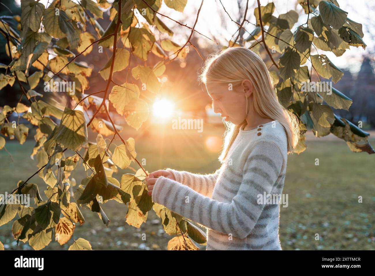 Fille regardant les feuilles d'automne dans une belle lumière Banque D'Images