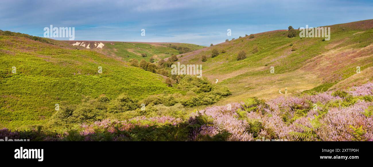 Jugger Howe Beck dans les North Yorkshire Moors est facilement accessible mais paisible promenade dans les landes et le système de drainage qui divise la région. Banque D'Images