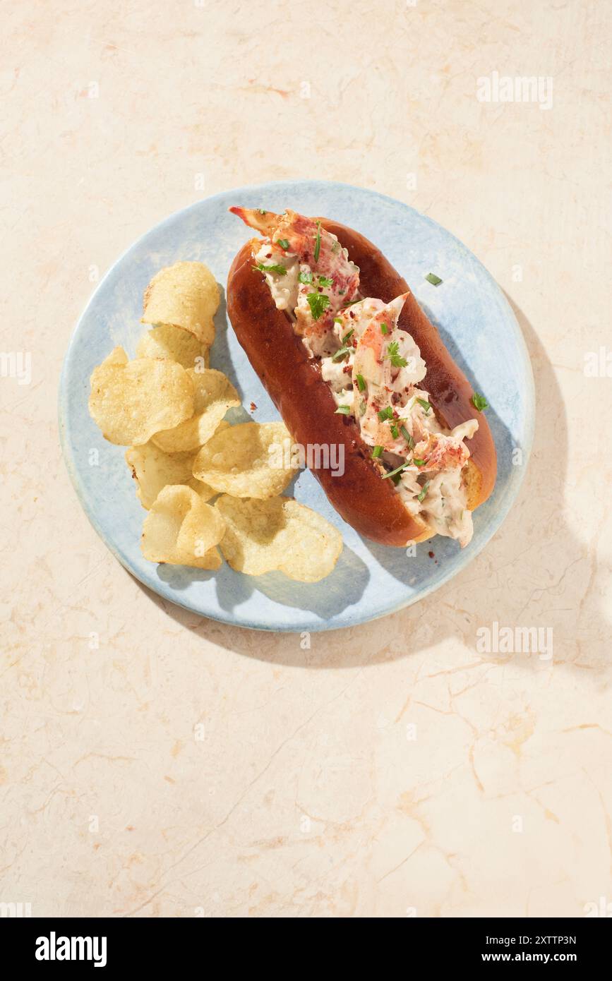 Rouleau de homard classique avec croustilles sur assiette bleu clair Banque D'Images