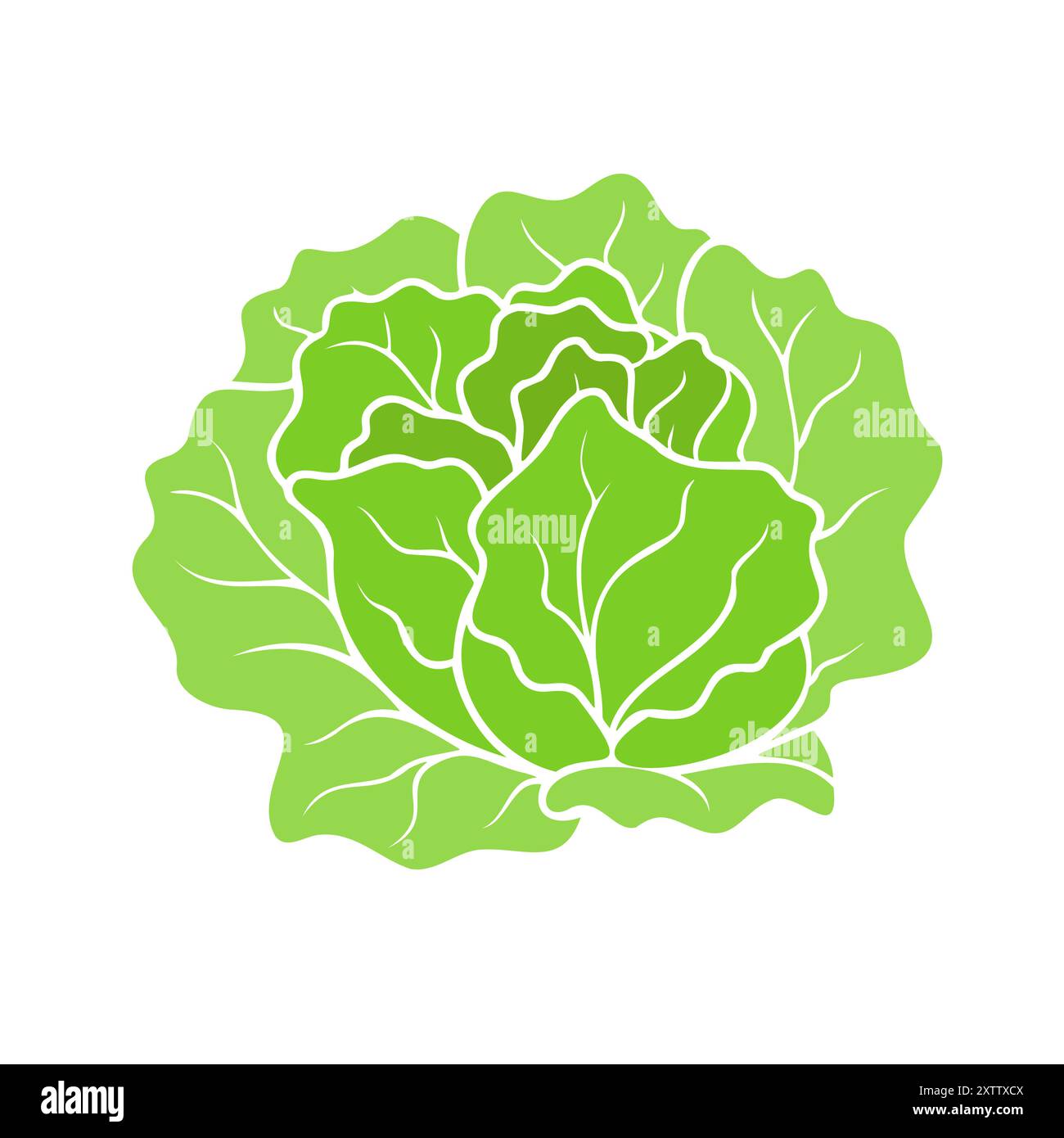 Laitue biologique verte fraîche, icône d'option de repas sain isolée. Pas de contour. Illustration vectorielle Illustration de Vecteur