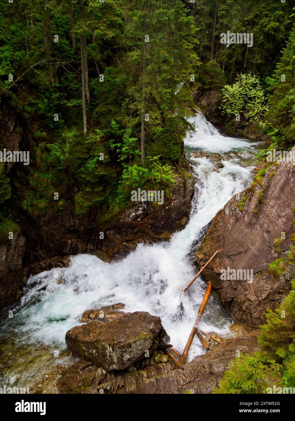 Wodogrzmoty aussi les chutes d'eau de Mickiewicz - chutes d'eau dans les Hautes Tatras créées à partir de trois plus grandes cascades sur le ruisseau Roztoka dans le Roztoka Banque D'Images