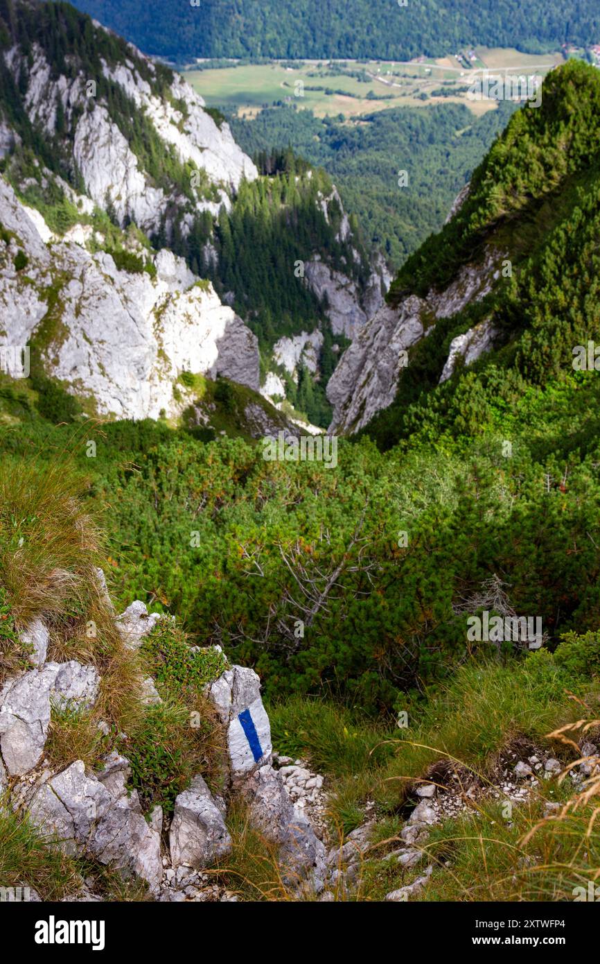 Vue au nord depuis la crête de Piatra Craiului, Roumanie Banque D'Images
