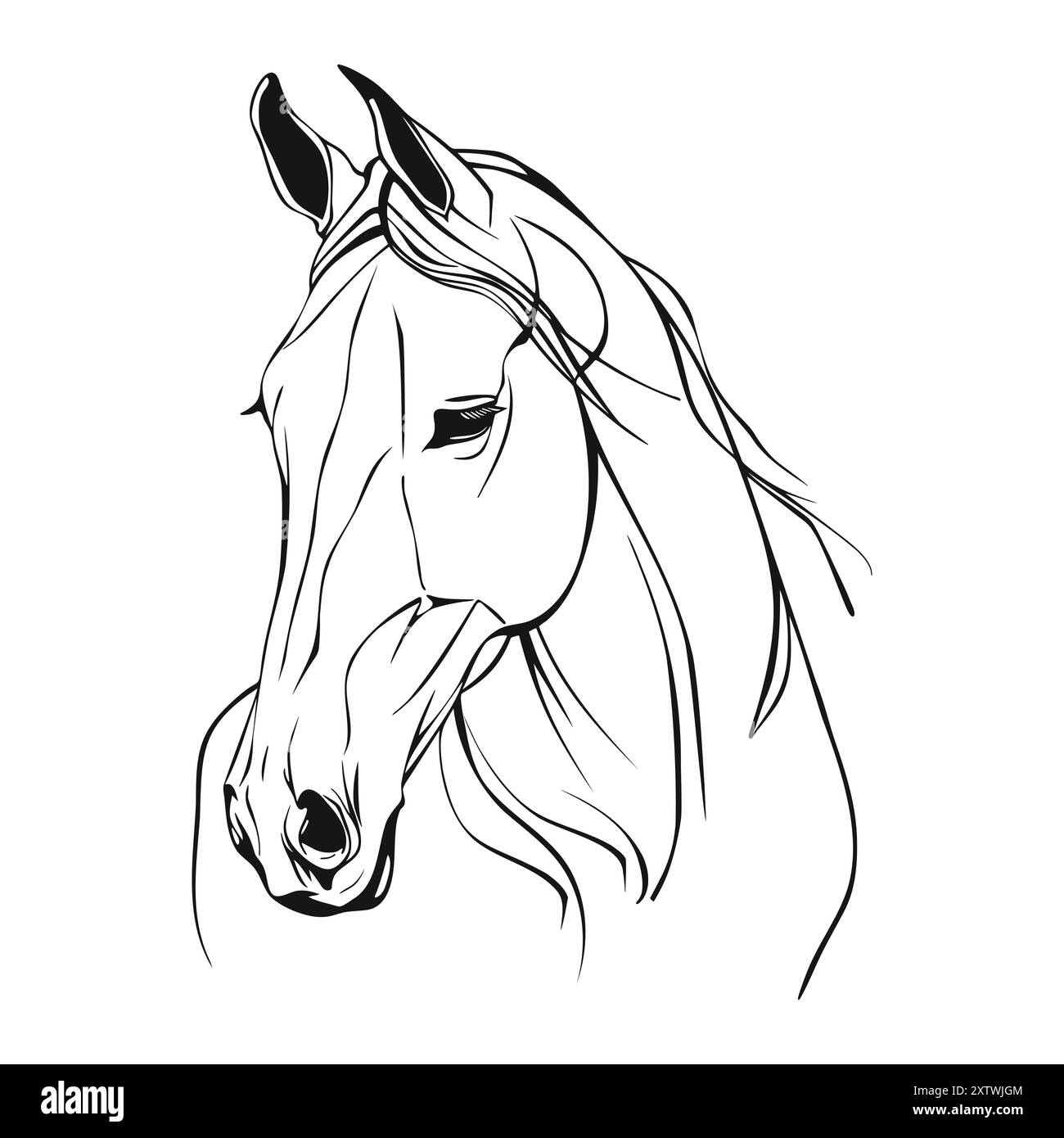 Portrait de cheval réaliste, ligne optimisée Contour abstrait de la tête de cheval Illustration de Vecteur