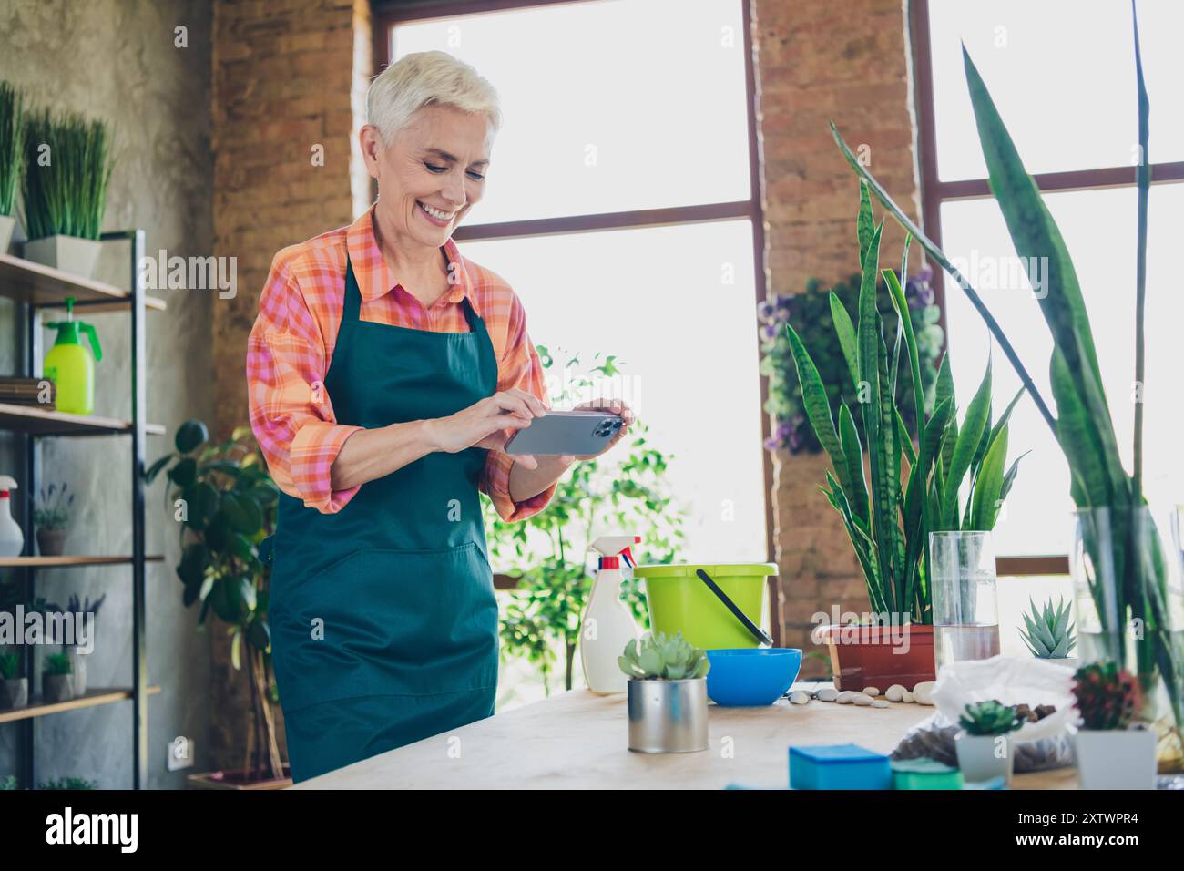 Photo de brillante femme d'âge heureux habillé tablier d'enregistrement vidéo plantes gadget moderne à l'intérieur atelier à la maison Banque D'Images