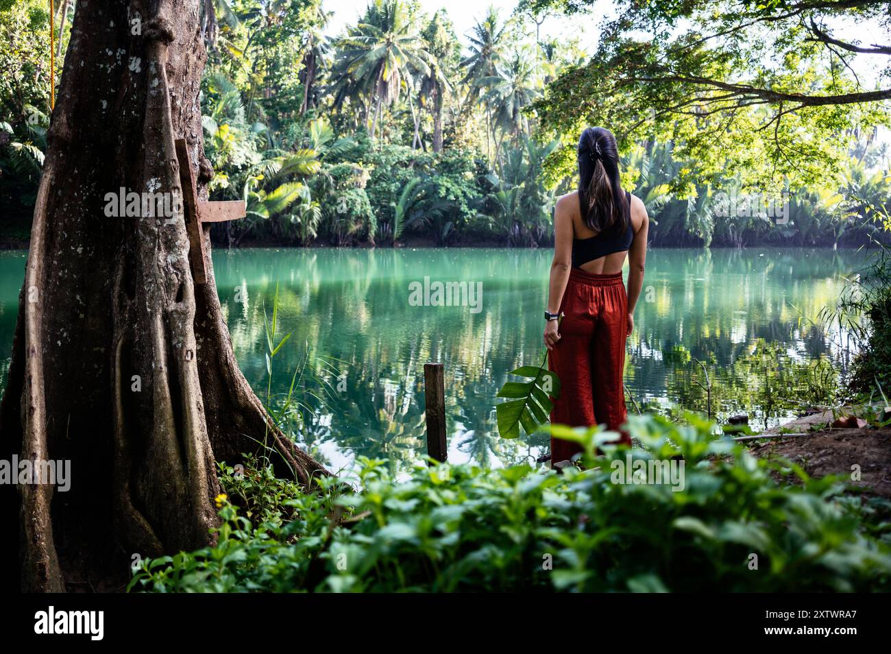 Une femme se tient au bord d'un lac vert tranquille entouré d'un feuillage tropical luxuriant. Banque D'Images