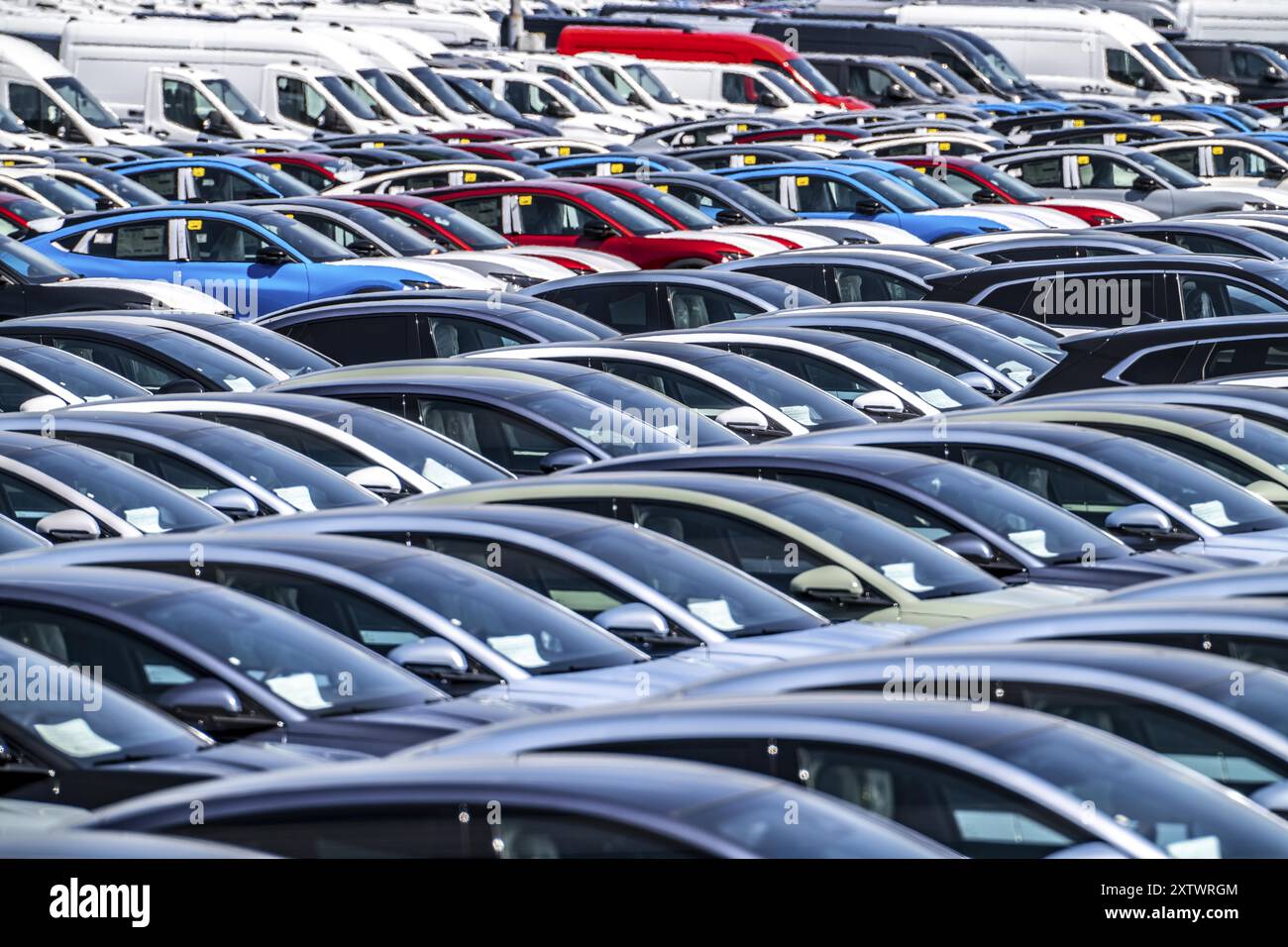 Zone de stockage des voitures neuves dans le port de Vlissingen-Oost, les véhicules sont temporairement stockés sur plus de 100 hectares pour les expédier de l’Europe vers les Etats-Unis Banque D'Images