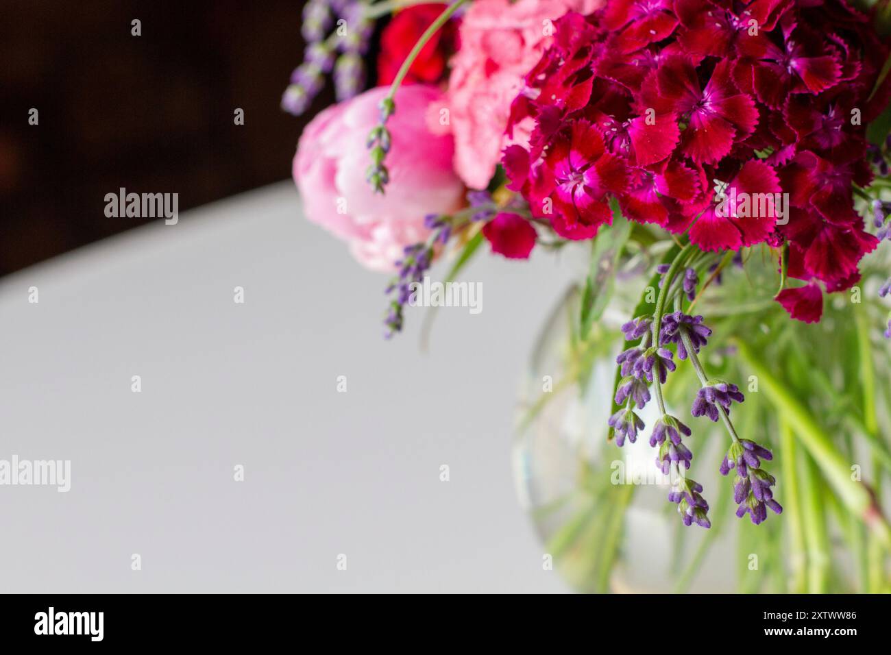 Bouquet vibrant de pivoines roses et de fleurs violettes dans un vase clair sur une surface blanche avec un fond flou. Banque D'Images