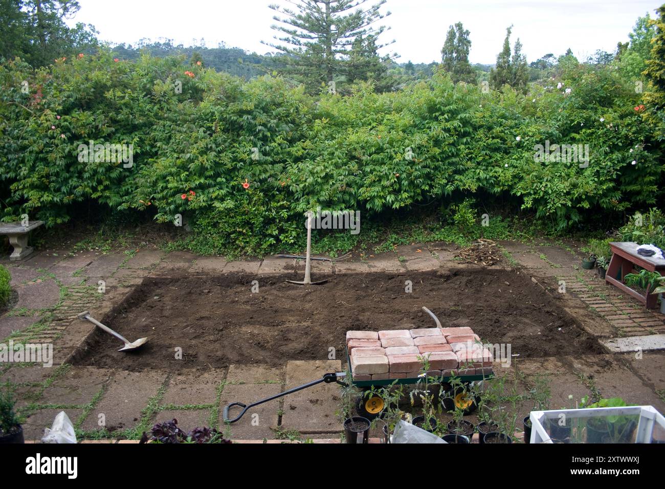 Sol fraîchement labouré dans un jardin vibrant avec une haie verte luxuriante et des outils de jardinage assortis, Auckland, Nouvelle-Zélande Banque D'Images