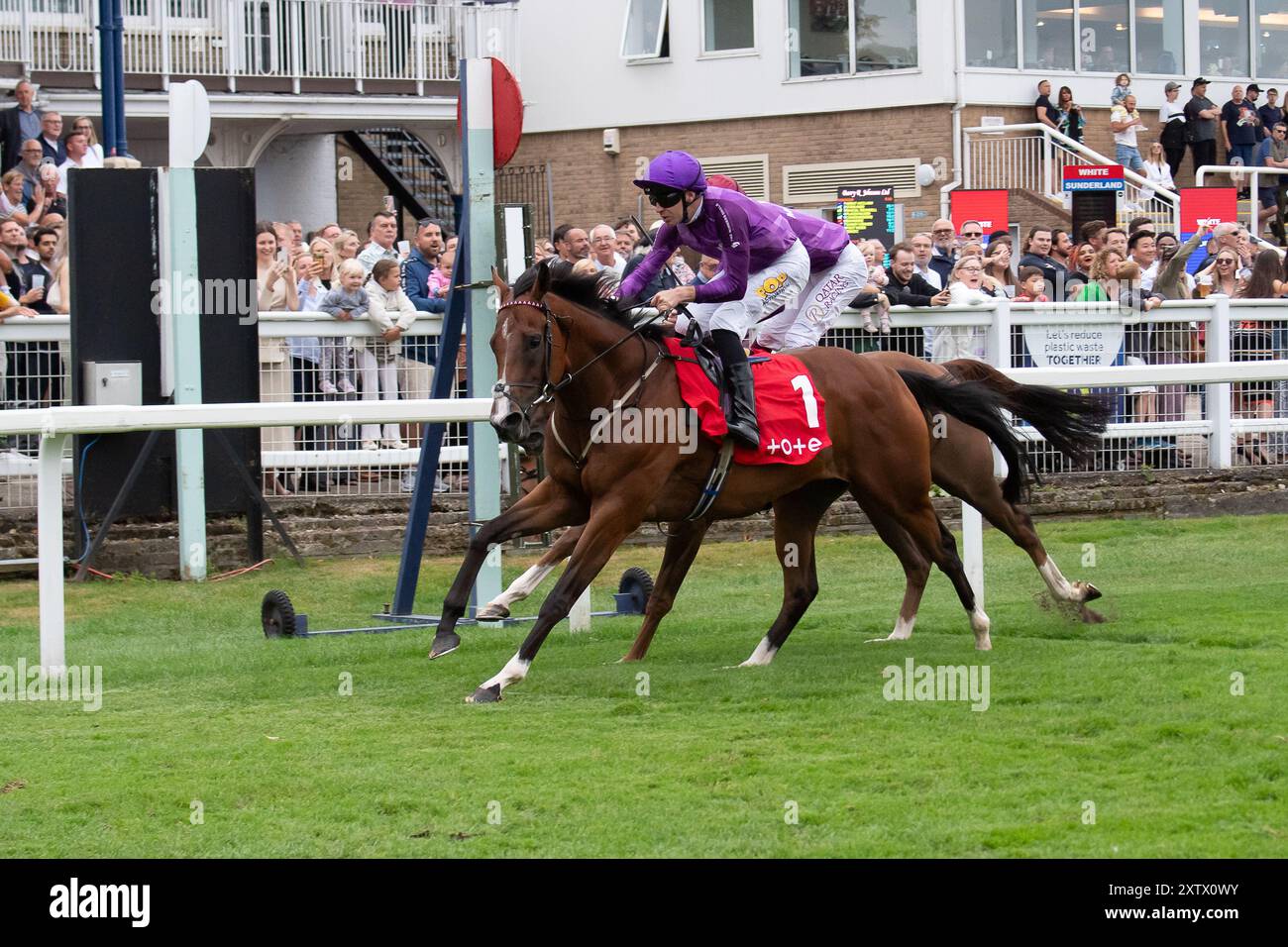 Windsor, Royaume-Uni. 15 août 2024. UN GRAND SUCCÈS monté par le jockey Charles Bishop bat de justesse son collègue londonien et le COUREUR du South POST monté par le jockey Oisin Murphy pour remporter le Tote Placepot Leg 2 Racing League 23 handicap Stakes (Class 4) (pour les chevaux pris en charge par les entraîneurs inscrits à Racing League) pour Londres et le Sud à la réunion de la Racing League au Royal Windsor Racecourse, Windsor, Berkshire. Propriétaire M. G. Owen, entraîneur Eve Johnson Houghton, Blewbury, éleveur Phoenix Thoroughbred Limited. Crédit : Maureen McLean/Alamy Live News Banque D'Images