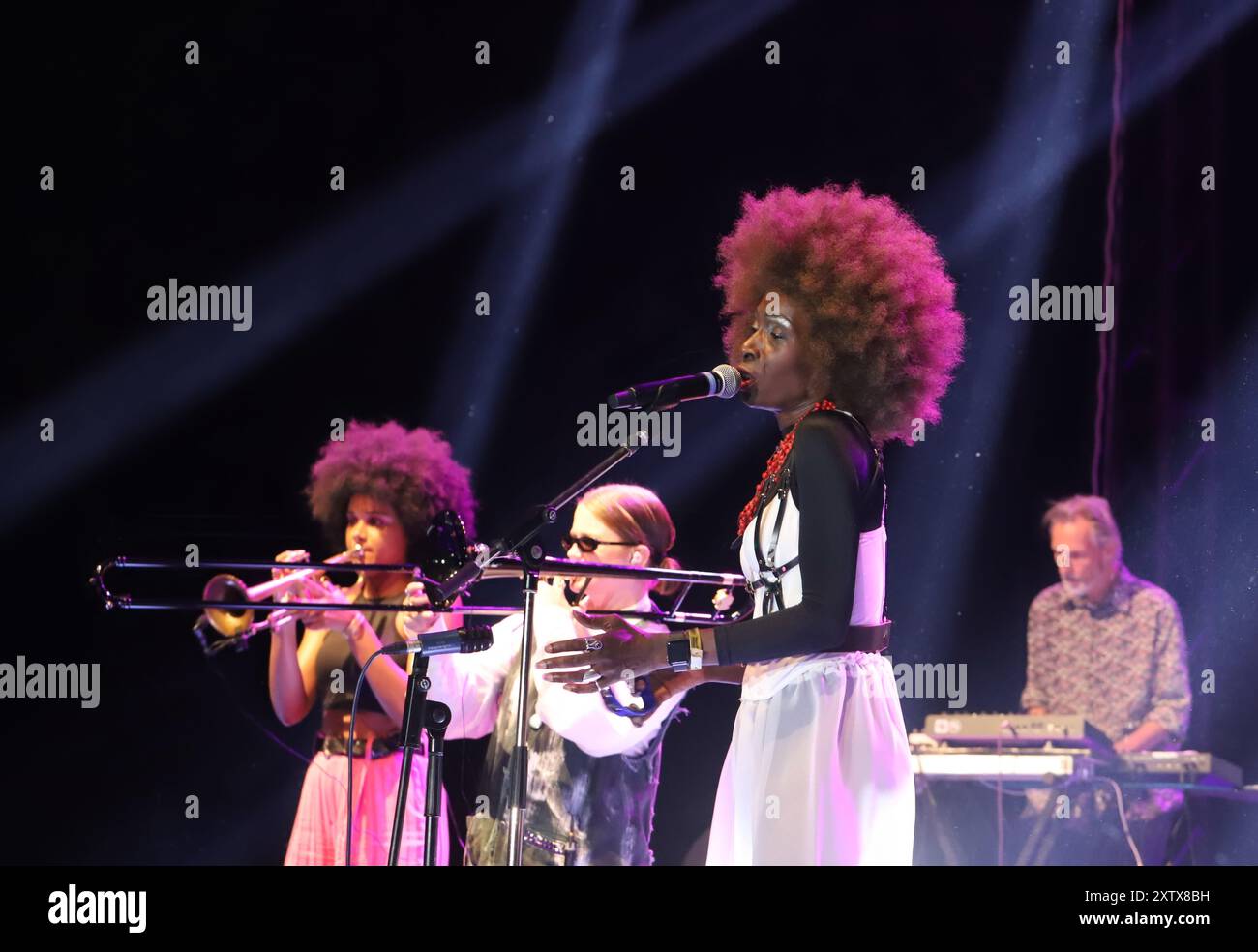 NIS, Serbie 15.08.2024 le groupe Brooklyn Funk Essentials se produit au Nisville Jazz Festival Banque D'Images