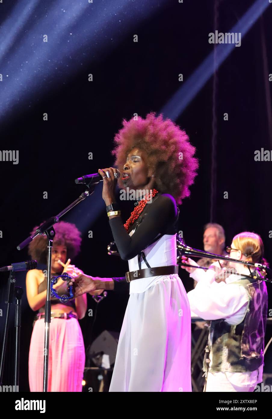 NIS, Serbie 15.08.2024 le groupe Brooklyn Funk Essentials se produit au Nisville Jazz Festival Banque D'Images