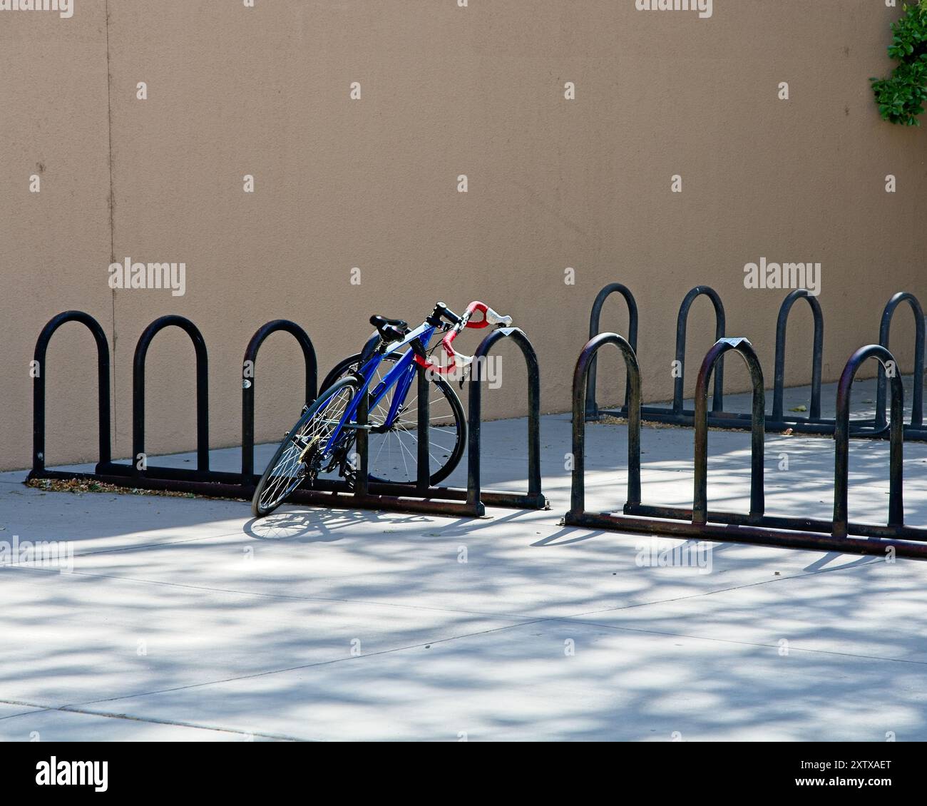 Bicyclette solitaire appuyée contre un support de cerceau noir dans une rangée de supports de cerceau Banque D'Images