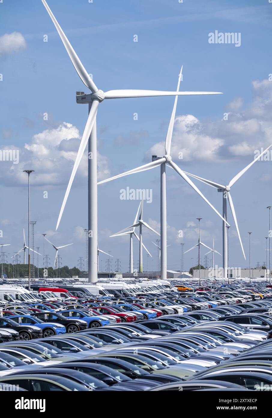 Zone de stockage des voitures neuves dans le port de Vlissingen-Oost, les véhicules sont temporairement stockés sur plus de 100 hectares pour les expédier de l’Europe vers les Etats-Unis Banque D'Images