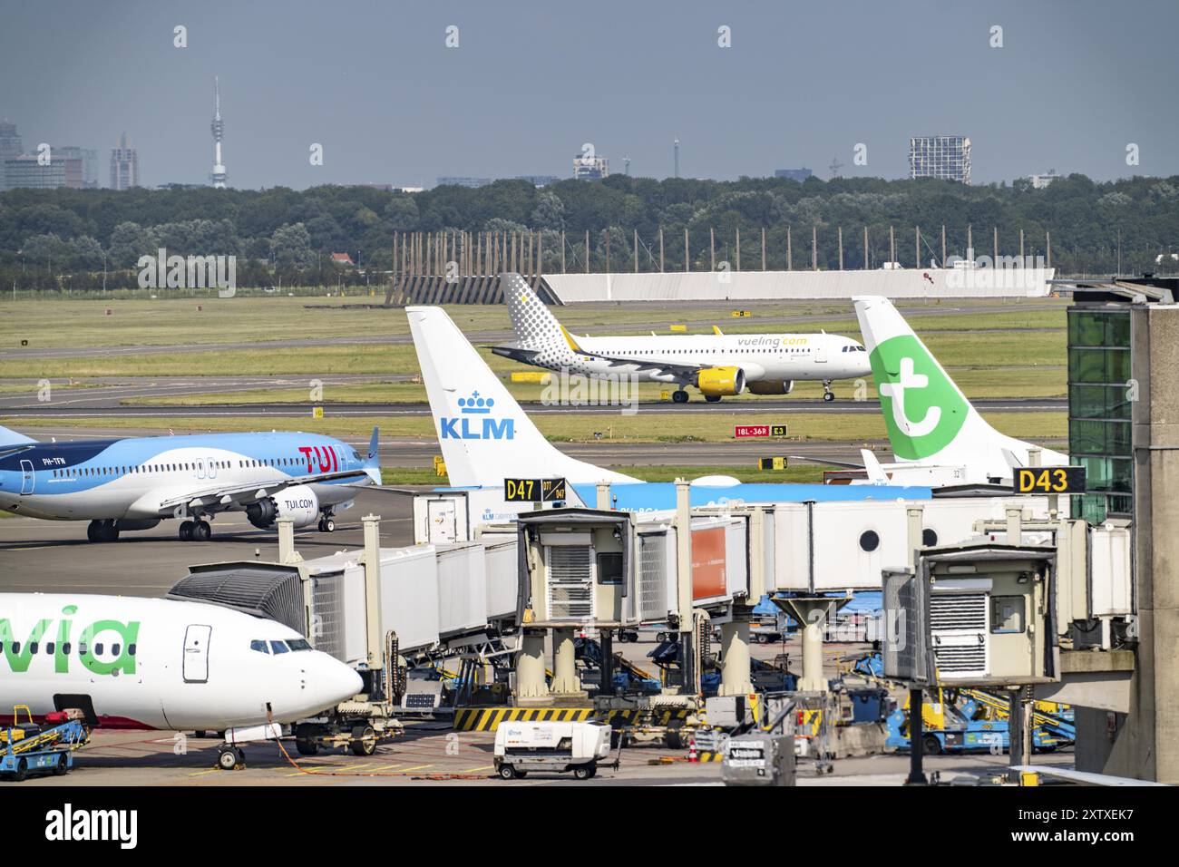 Aéroport d'Amsterdam Schiphol, avions sur la voie de circulation, au terminal, porte d, enregistrement, aire de trafic, Amsterdam, pays-Bas Banque D'Images