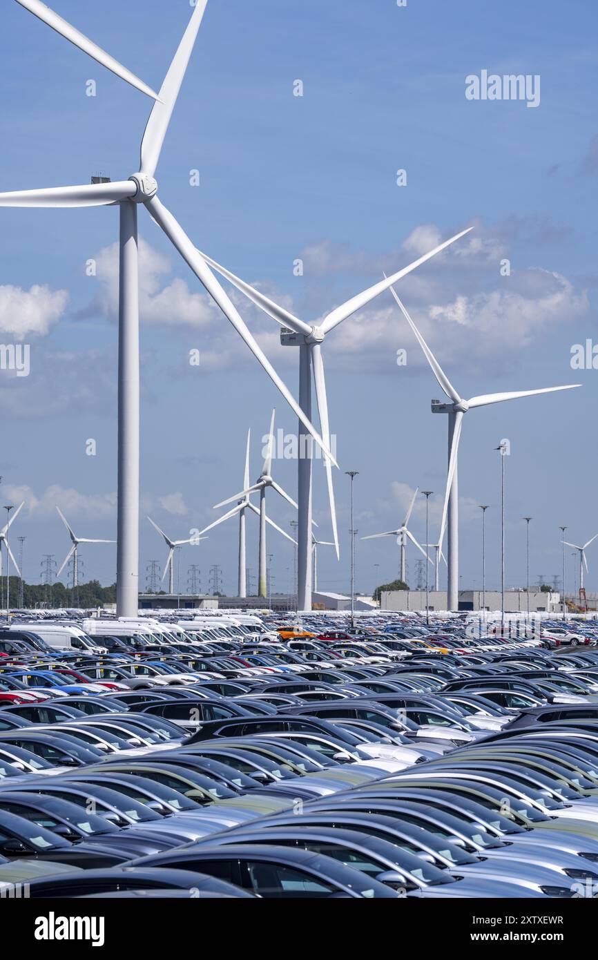Zone de stockage des voitures neuves dans le port de Vlissingen-Oost, les véhicules sont temporairement stockés sur plus de 100 hectares pour les expédier de l’Europe vers les Etats-Unis Banque D'Images