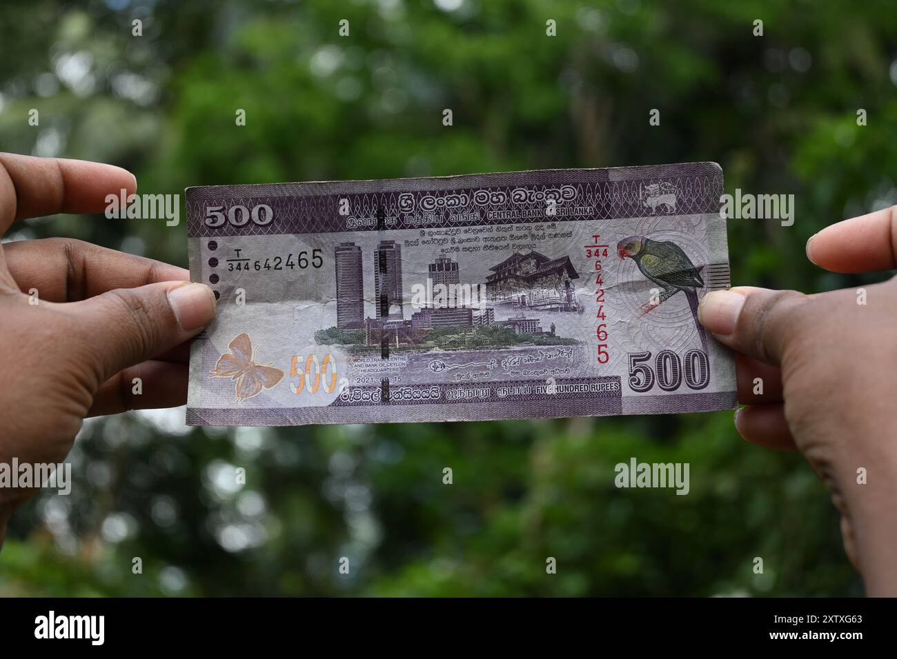 Kalutara, Sri Lanka - 15 août 2024 - Un billet de banque de 500 roupies sri-lankaises est tenu par les doigts, révélant les détails de surface du billet Banque D'Images