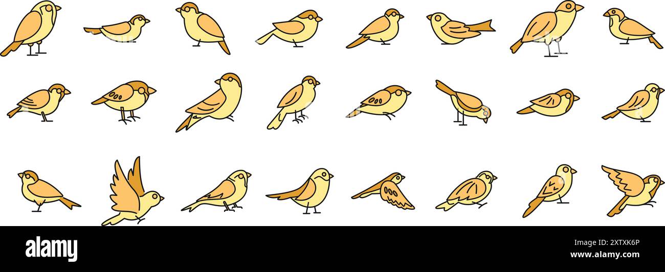 Ensemble d'illustrations de petits oiseaux avec des plumes jaunes dans différentes poses Illustration de Vecteur