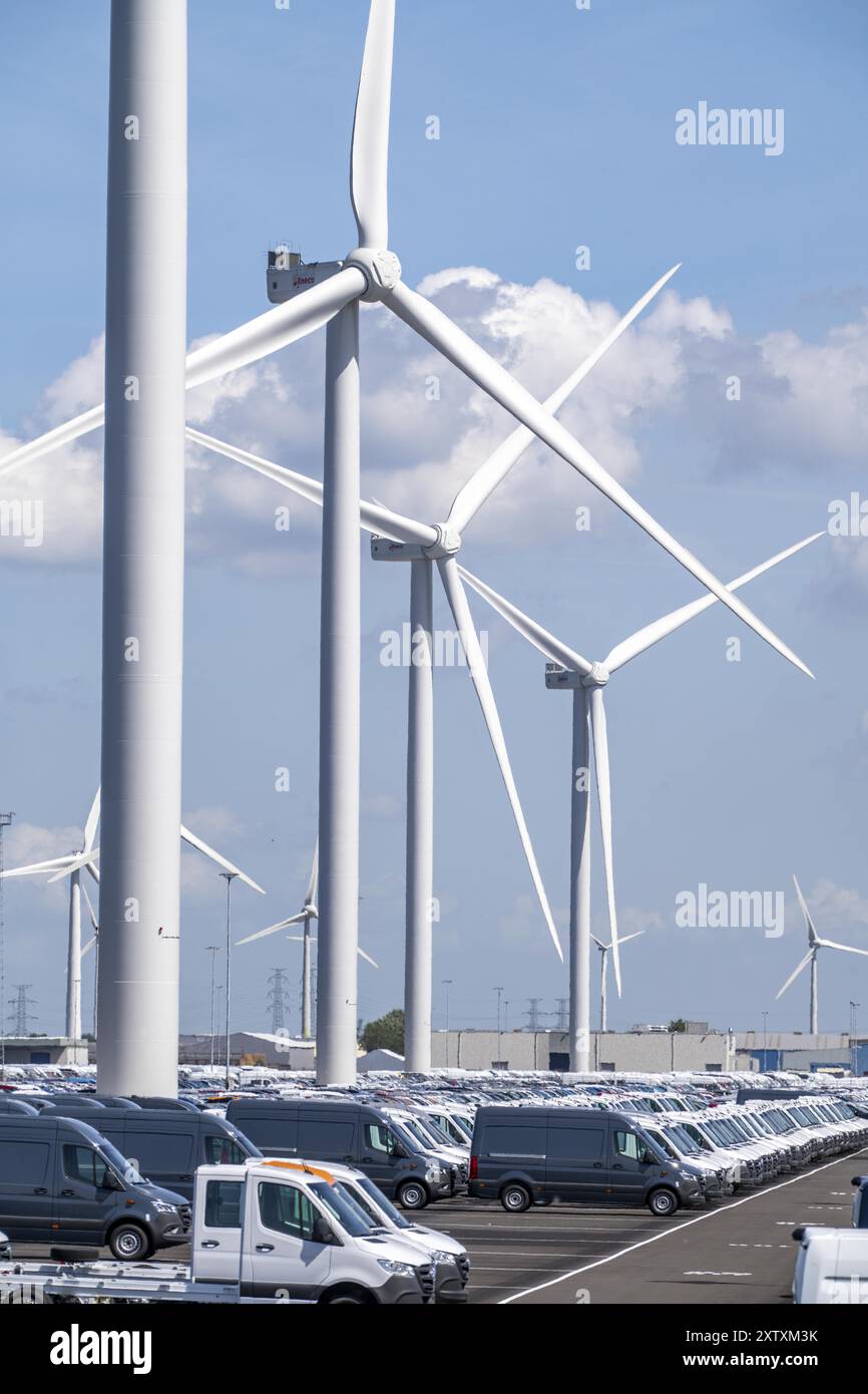 Zone de stockage des voitures neuves dans le port de Vlissingen-Oost, les véhicules sont temporairement stockés sur plus de 100 hectares pour les expédier de l’Europe vers les Etats-Unis Banque D'Images