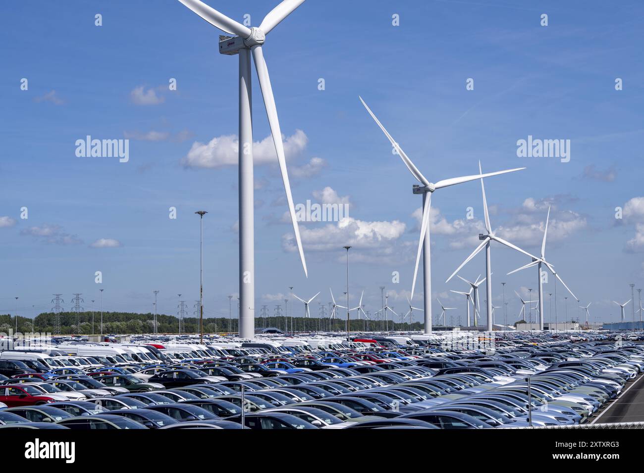 Zone de stockage des voitures neuves dans le port de Vlissingen-Oost, les véhicules sont temporairement stockés sur plus de 100 hectares pour les expédier de l’Europe vers les Etats-Unis Banque D'Images