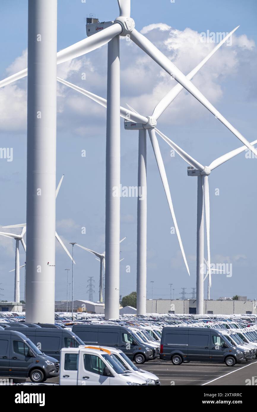 Zone de stockage des voitures neuves dans le port de Vlissingen-Oost, les véhicules sont temporairement stockés sur plus de 100 hectares pour les expédier de l’Europe vers les Etats-Unis Banque D'Images