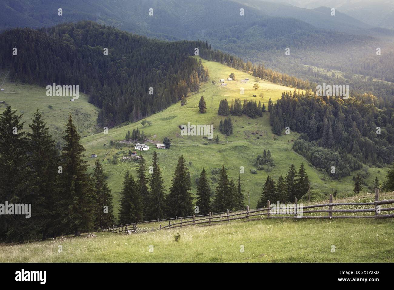 Paysage rural des montagnes des Carpates. Montagnes des Carpates, Ukraine, Europe Banque D'Images