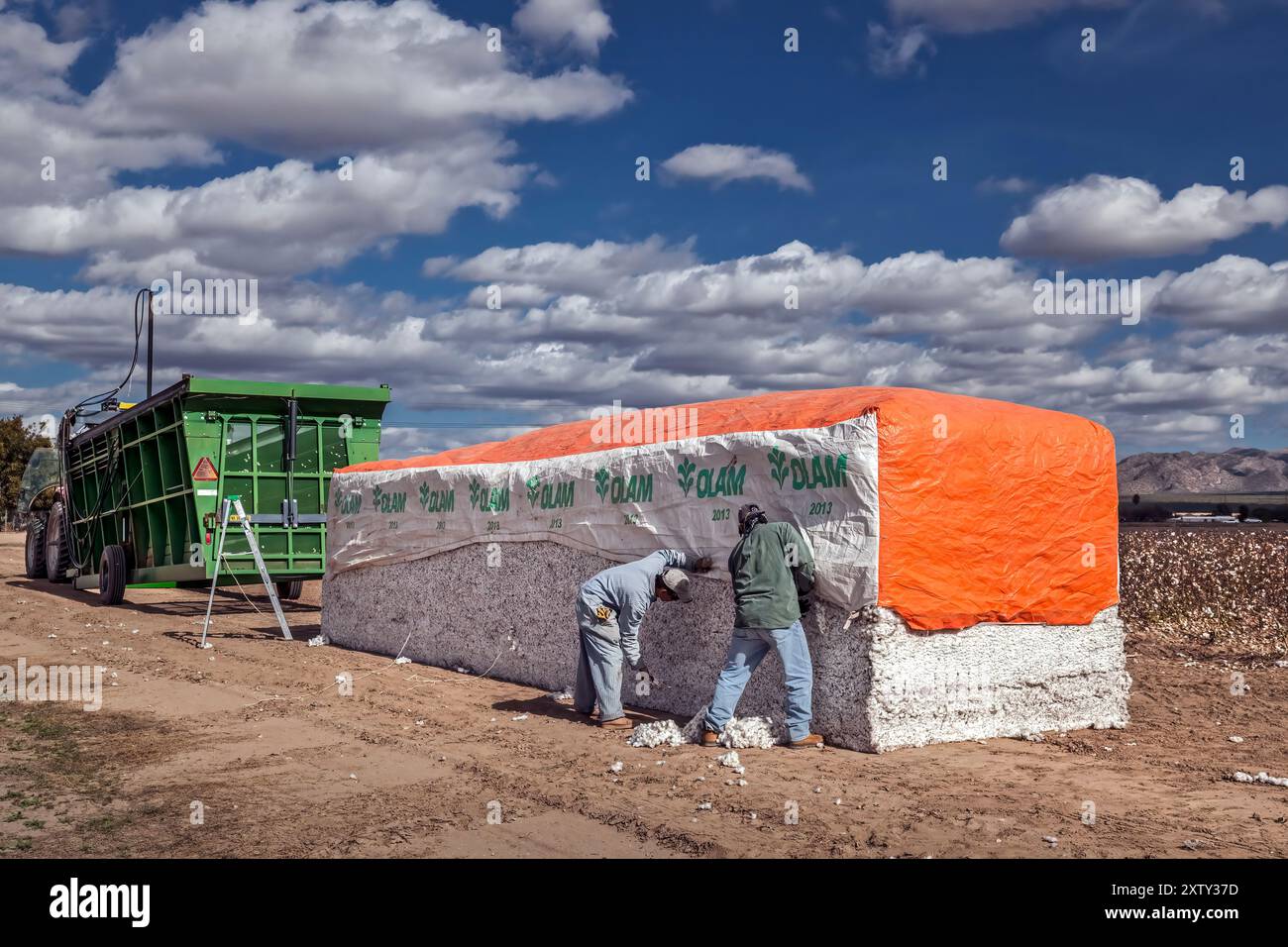 Balle de coton de 18 000 livres - récolte de coton - Marana, Arizona Banque D'Images