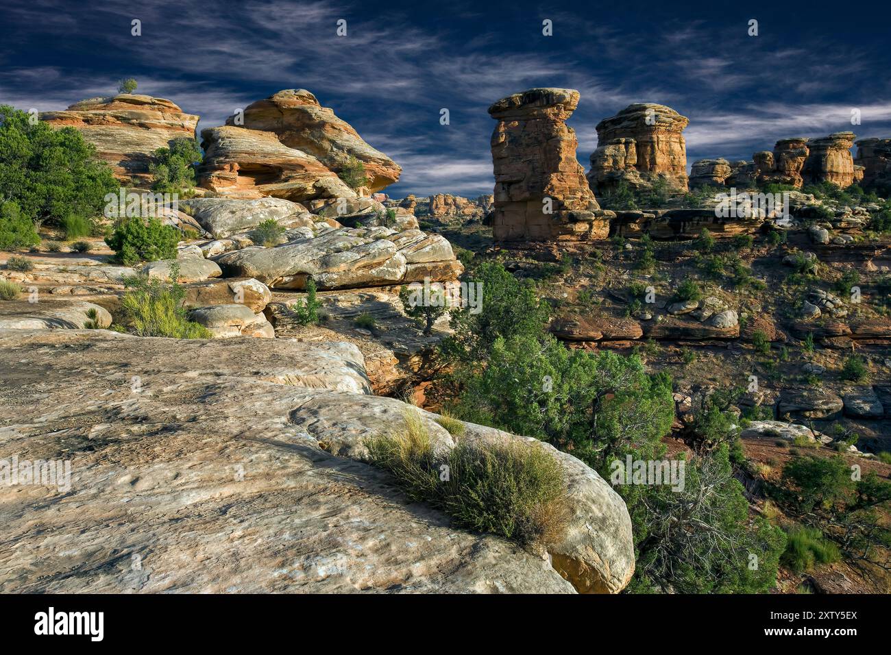 Monument national de Canyonlands (région sud) Utah Banque D'Images