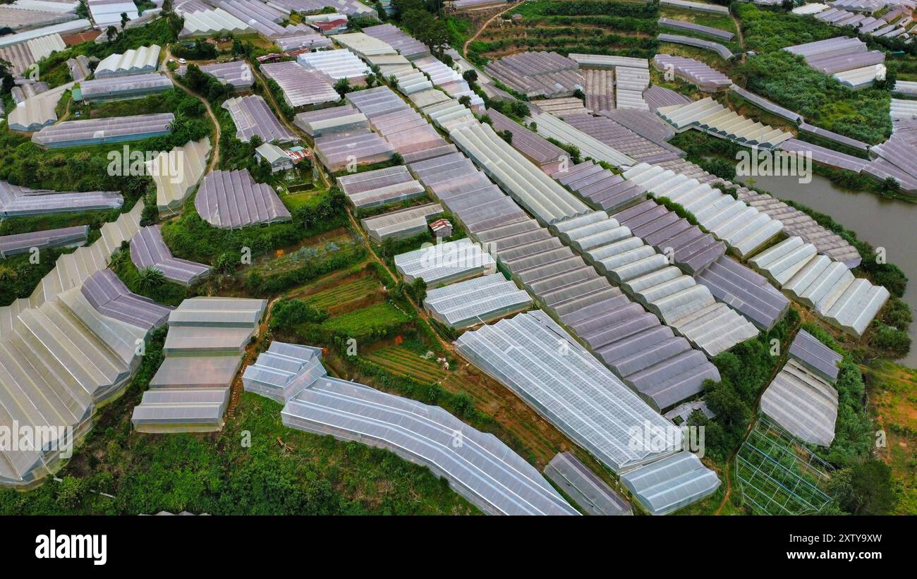 Serres dans les montagnes de Da Lat au Vietnam, en Asie, vues d'en haut Banque D'Images