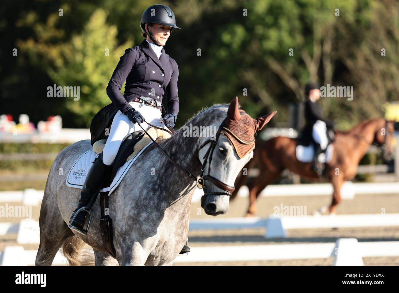 Sarah VANDENZAVEL de Belgique avec Quello Bello van de bien lors du dressage de CCI2*-S (A) · Riders 1993 et plus · Prix FRBSE au concours complet International d'Arville le 16 août 2024, Gesves, Belgique (photo de Maxime David - MXIMD Pictures) crédit : MXIMD Pictures/Alamy Live News Banque D'Images