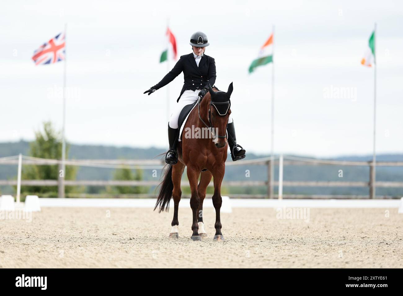 Marie ANGELINI de Belgique avec Chronos de Virton lors du dressage de CCI2*-S (B) · Riders 1994 et moins · Prix FRBSE au concours complet International d'Arville le 16 août 2024, Gesves, Belgique (photo de Maxime David - MXIMD Pictures) crédit : MXIMD Pictures/Alamy Live News Banque D'Images