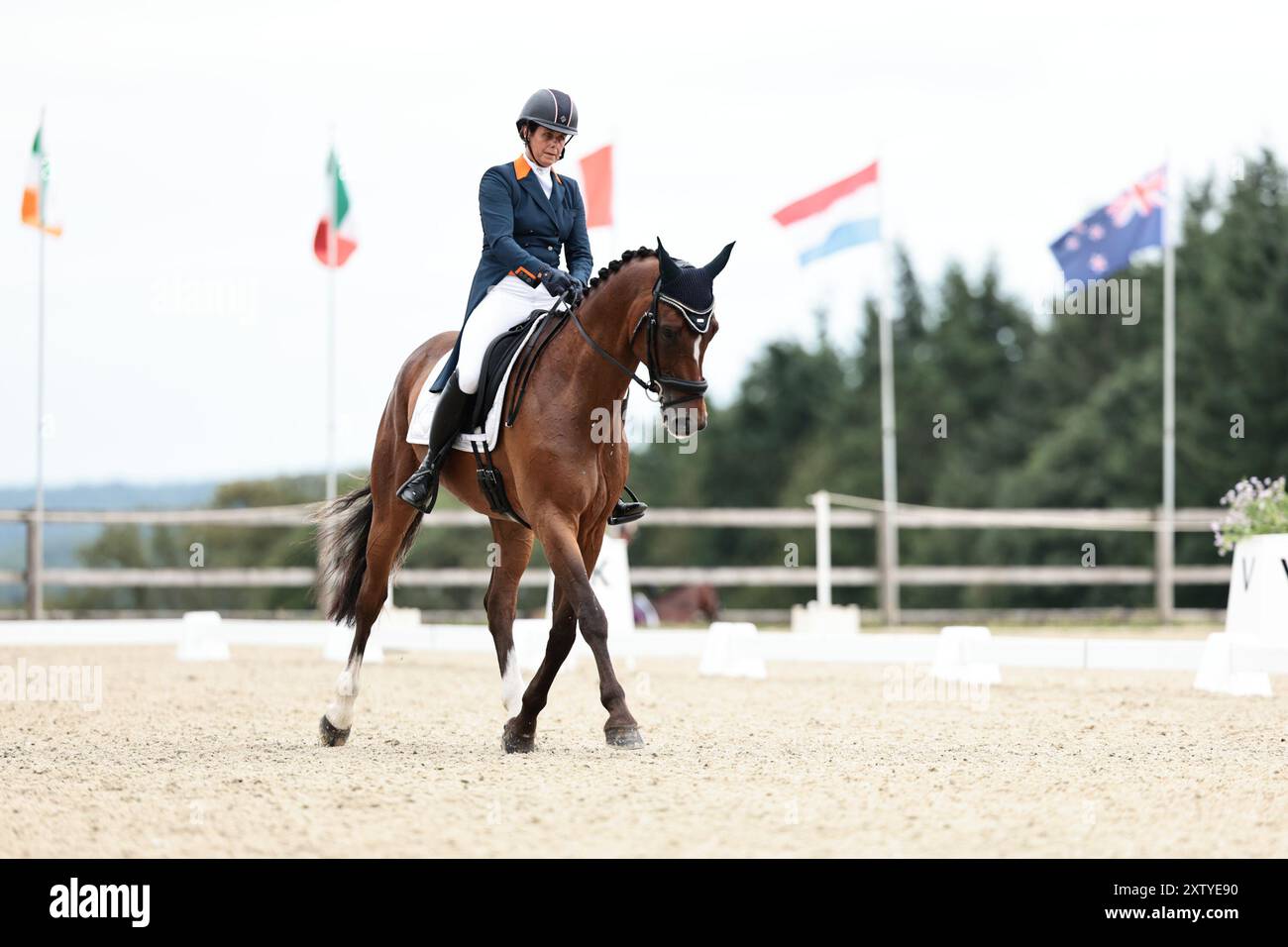 Willemina VAN DER GOES-PETTER des pays-Bas avec Lancelot lors du dressage du CCIO4*-NC-S · Prix Adeps au concours complet International d'Arville le 16 août 2024, Gesves, Belgique (photo de Maxime David - MXIMD Pictures) crédit : MXIMD Pictures/Alamy Live News Banque D'Images