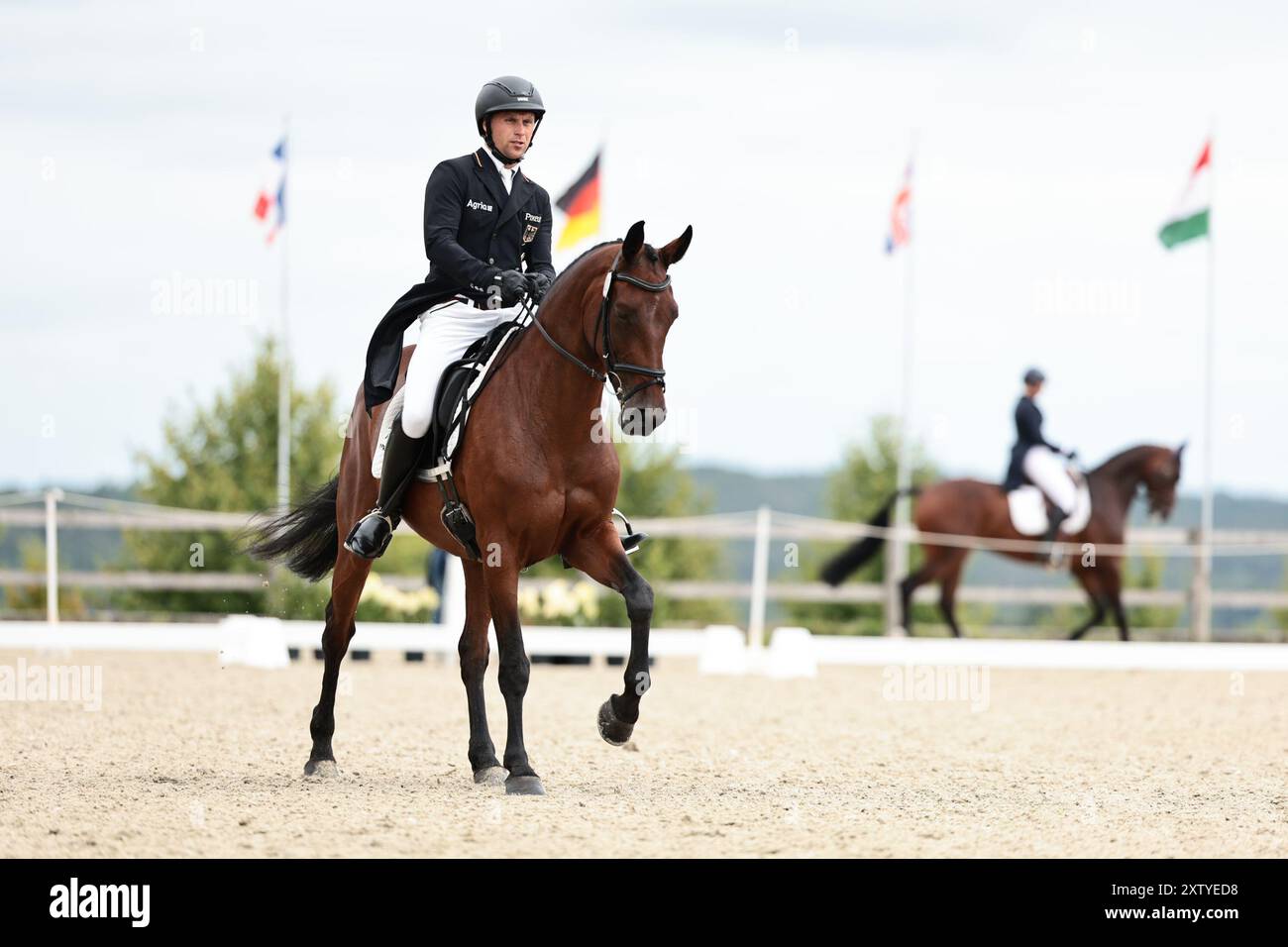 Arne BERGENDAHL d'Allemagne avec Carrigane Dahlia lors du dressage du CCIO4*-NC-S · Prix Adeps au concours complet International d'Arville le 16 août 2024, Gesves, Belgique (photo de Maxime David - MXIMD Pictures) crédit : MXIMD Pictures/Alamy Live News Banque D'Images