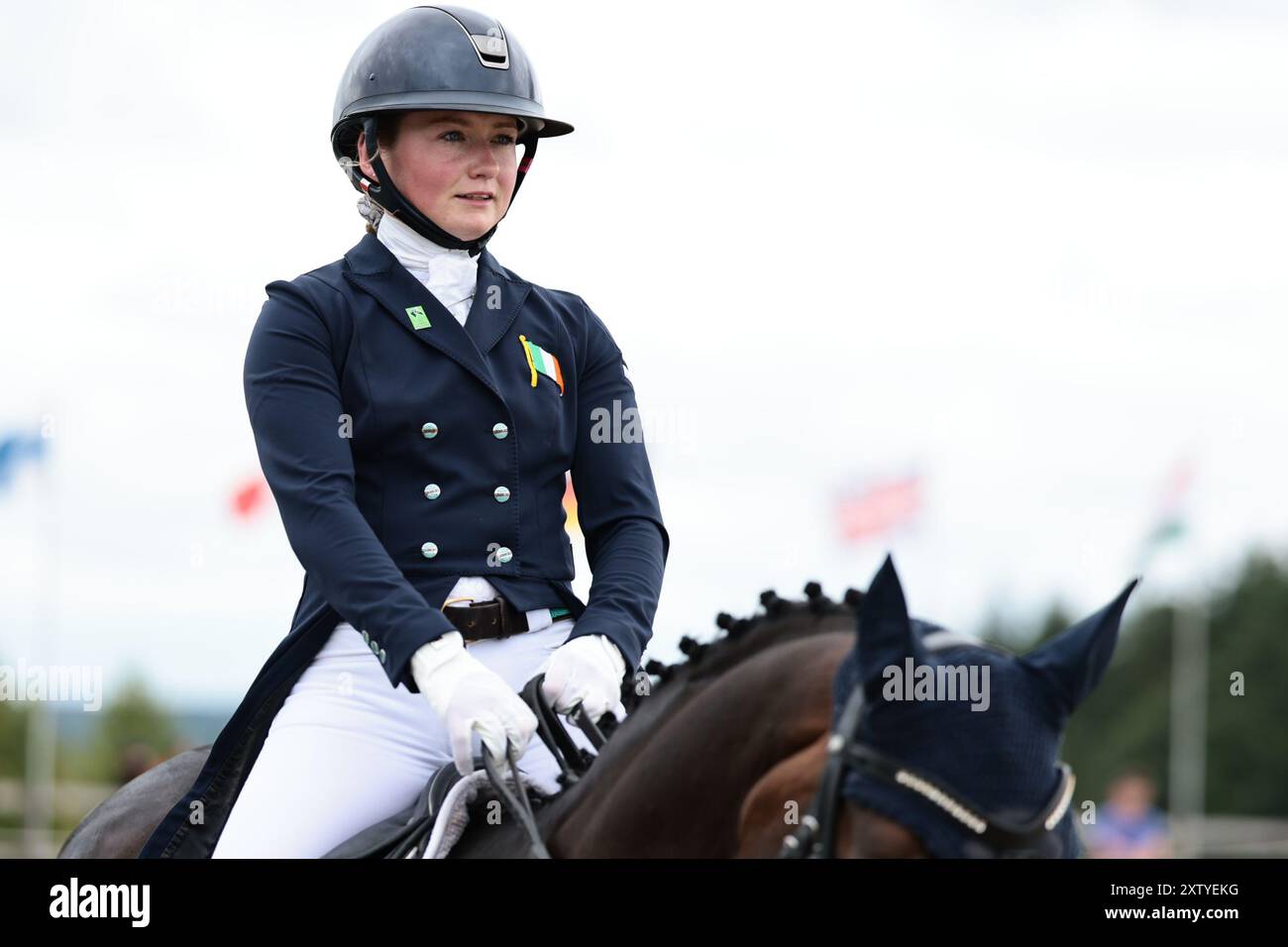 Molly EVANS d'Irlande avec Wellan Graffiti lors du dressage du CCIO4*-NC-S · Prix Adeps au concours complet International d'Arville le 16 août 2024, Gesves, Belgique (photo de Maxime David - MXIMD Pictures) crédit : MXIMD Pictures/Alamy Live News Banque D'Images