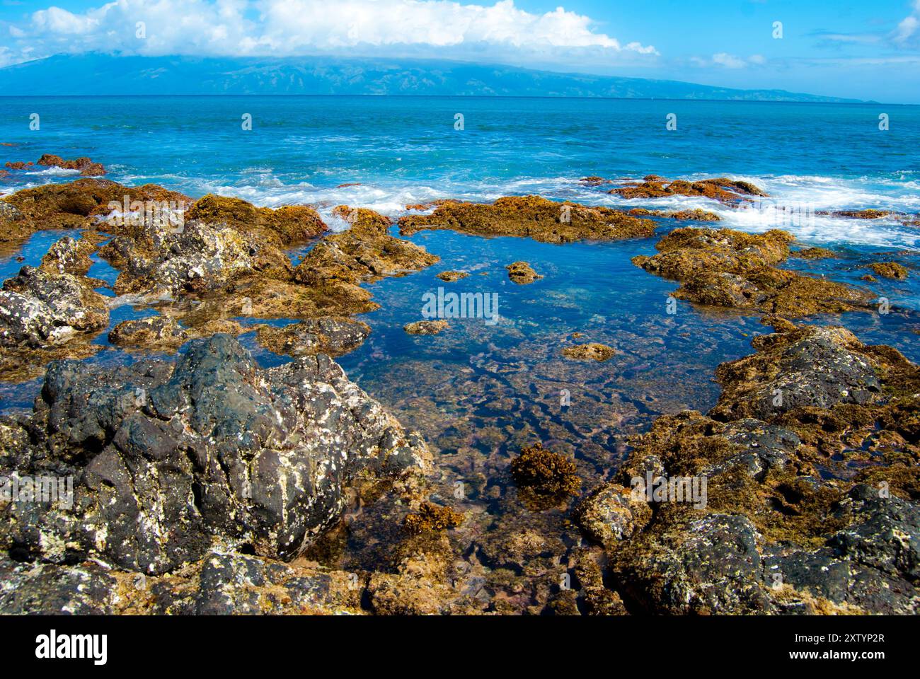Rocky Tide Pool Coastal à Maui, Hawaï Banque D'Images