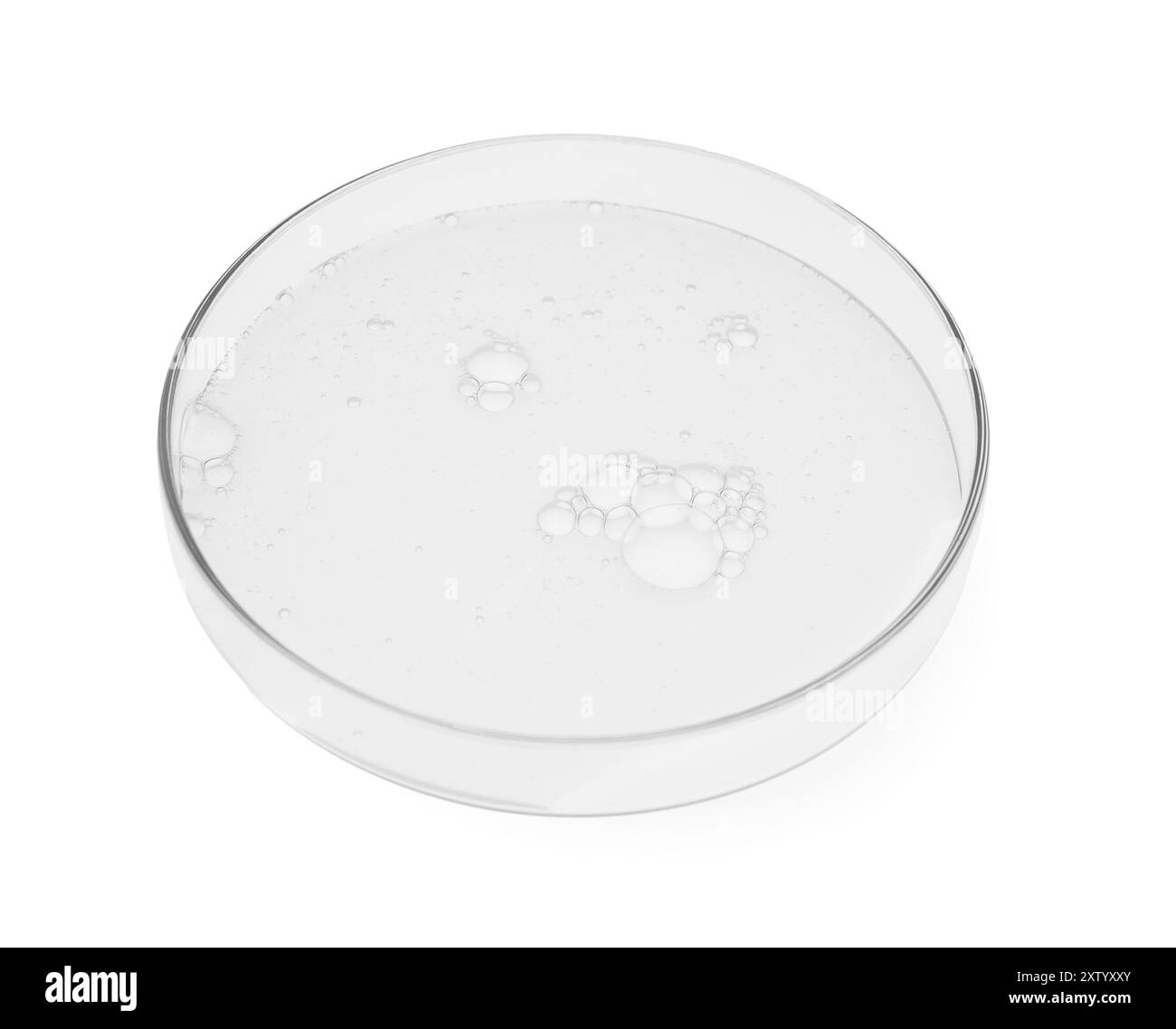 Boîte de Pétri avec échantillon isolé sur blanc Banque D'Images