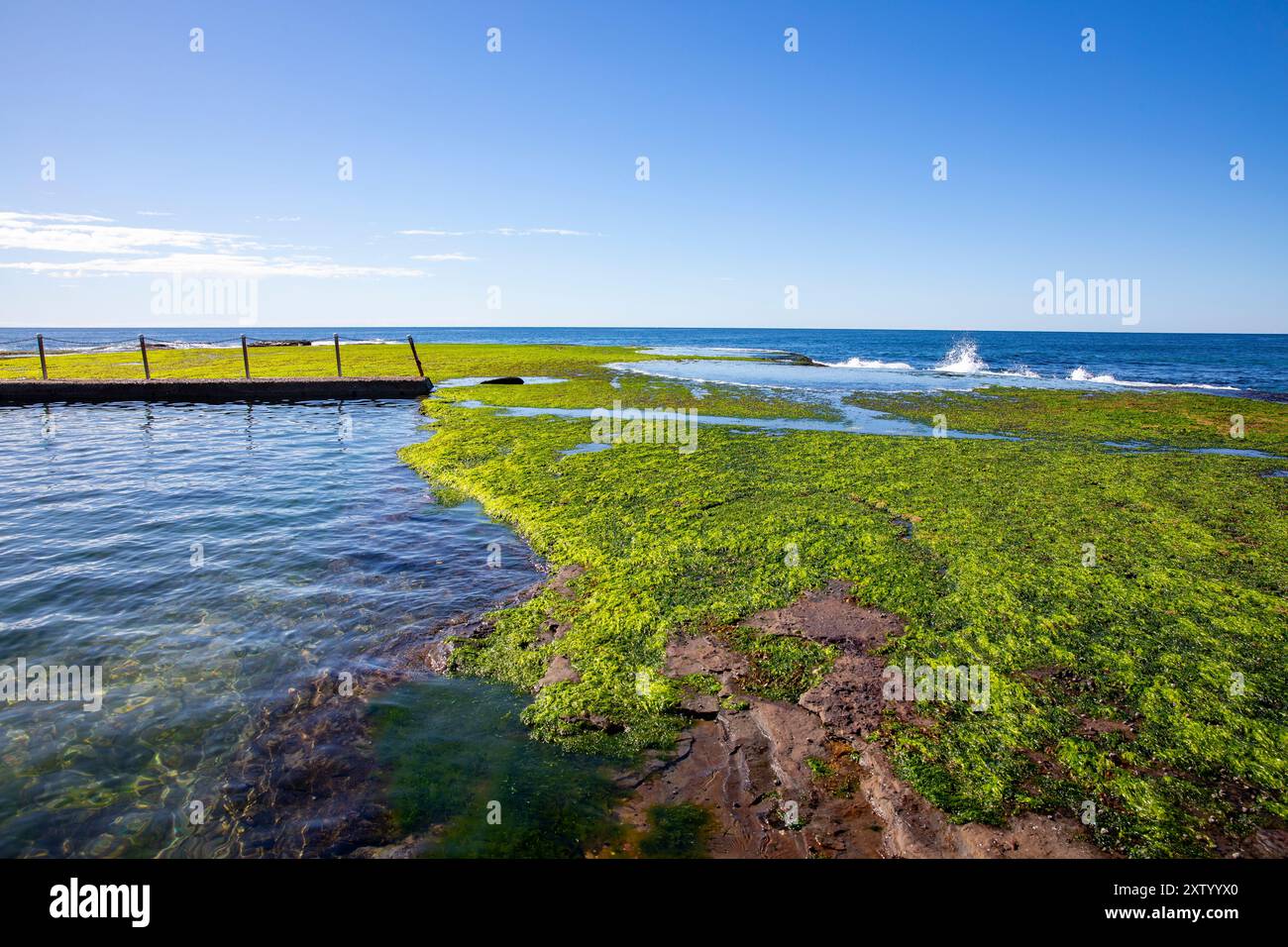 Mona Vale Beach Ocean rockpool sur le ciel bleu hiver jour avec des algues vertes poussant sur les rochers autour de la piscine, Sydney, Nouvelle-Galles du Sud, Australie Banque D'Images
