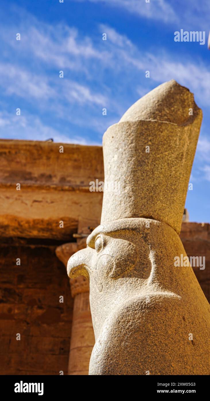 Gros plan de la statue de granit d'Horus, le Dieu Faucon, fils d'Isis et Osiris et divinité présidant dans le Temple d'Horus à Edfou, Egypte Banque D'Images