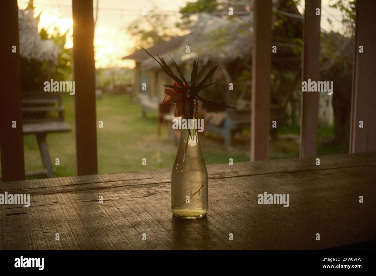 Tabanan, Bali, Indonésie - 9 août 2024 : vue sur un jardin herbeux et coucher de soleil depuis la fenêtre d'une terrasse de maison en bois, avec une table rustique Banque D'Images