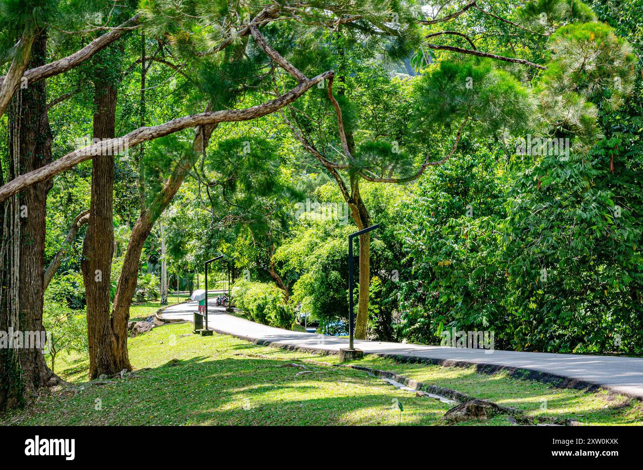 Une vue le long d'une route traversant les jardins botaniques de Penang, Pulau Pinang, Malaisie Banque D'Images