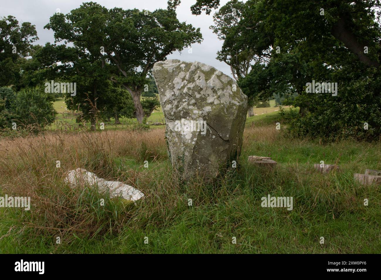 Standing Stone, Castle Ward, County Down, Irlande du Nord Banque D'Images