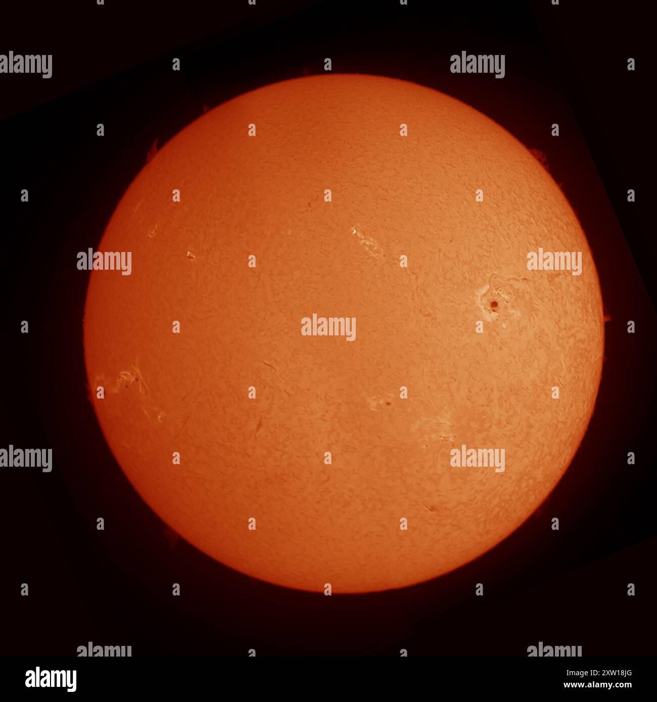 Taches solaires sur la surface solaire le 17 août 2024. L'image est capturée avec le filtre solaire à bande d'onde alpha hydrogène pour montrer clairement les champs magnétiques de surface et les filaments et donner des vues détaillées d'un grand groupe de taches solaires. Crédit : Malcolm Park/Alamy Banque D'Images