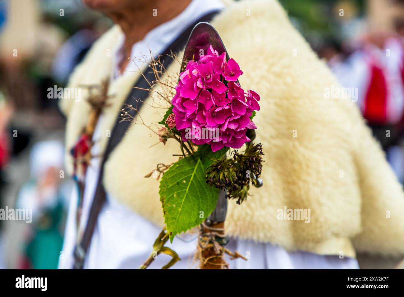 Pelle de berger décorée de fleurs lors du défilé de Wildberg. La petite pelle à l'extrémité inférieure de l'escroc du berger remplit plusieurs tâches pratiques dans la vie quotidienne d'un berger, telles que guider le troupeau, jeter des mottes de terre, signaler pour les chiens de troupeau, prélever des échantillons de fumier, enlever des plantes, couper des plantes toxiques ou gênantes. La pelle du berger est également un symbole de la profession du berger et est souvent utilisée comme symbole des armoiries. Défilé au Schäferlauf 2024 à Wildberg, Bade-Württemberg, Allemagne Banque D'Images