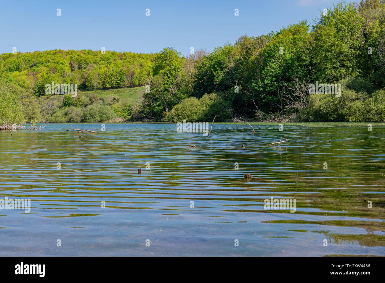 Le pittoresque et calme lac Swanbourne, Arundel, West Sussex, Royaume-Uni. Banque D'Images