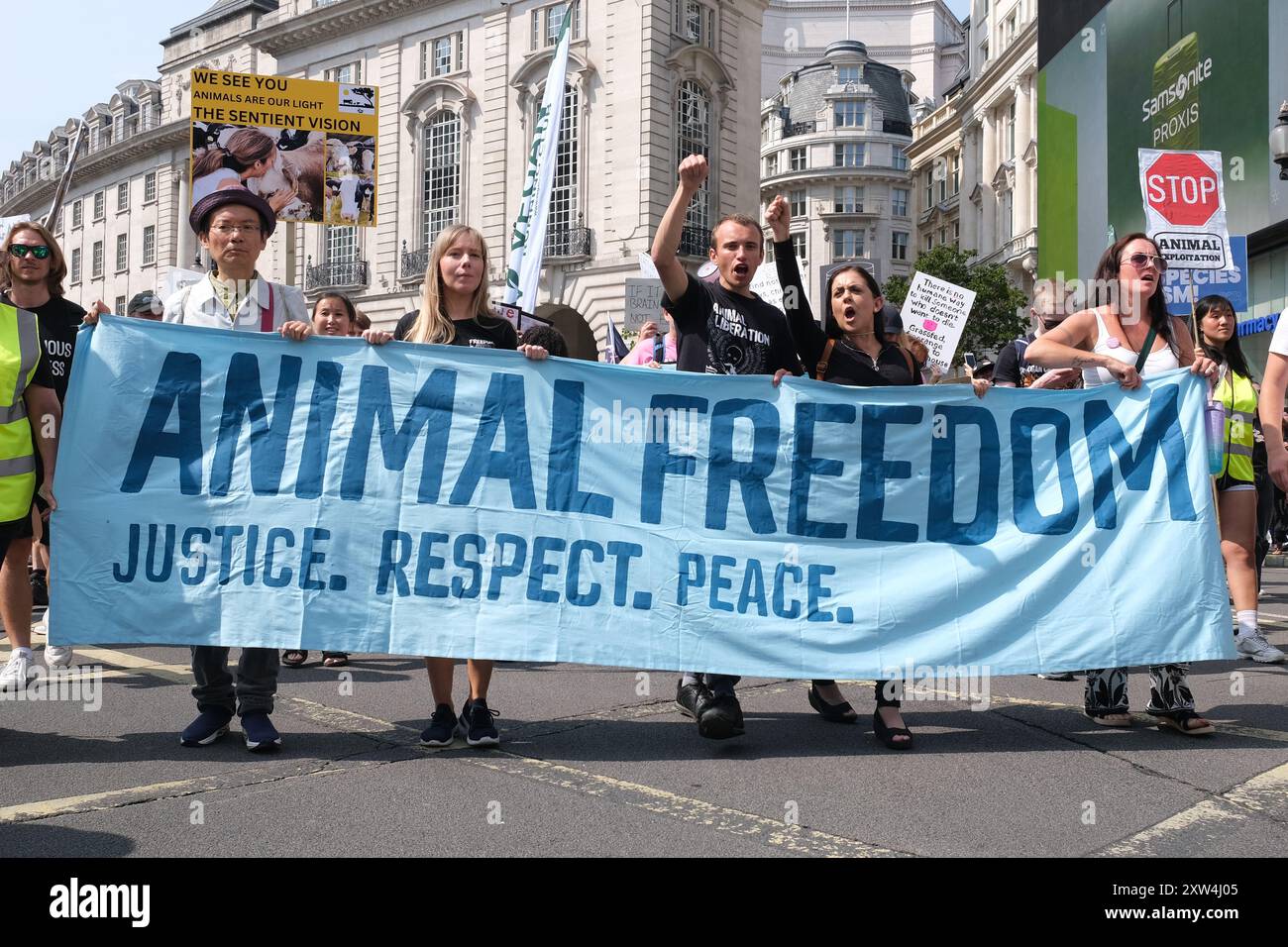 Londres, Royaume-Uni, 17 août 2024. La Marche nationale pour les droits des animaux a traversé Westminster, mettant en lumière les problèmes actuels de droits des animaux, alors qu’une grande foule de militants plaidaient pour le véganisme, la gentillesse et la compassion à étendre à toutes les espèces. Crédit : onzième heure photographie/Alamy Live News Banque D'Images