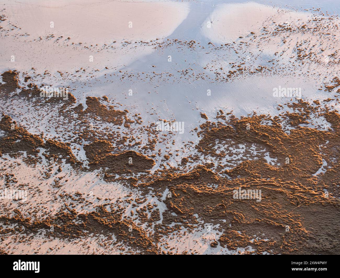 Invasion de sable et d'algues sur une plage tranquille. Réchauffement climatique et changement climatique. Banque D'Images
