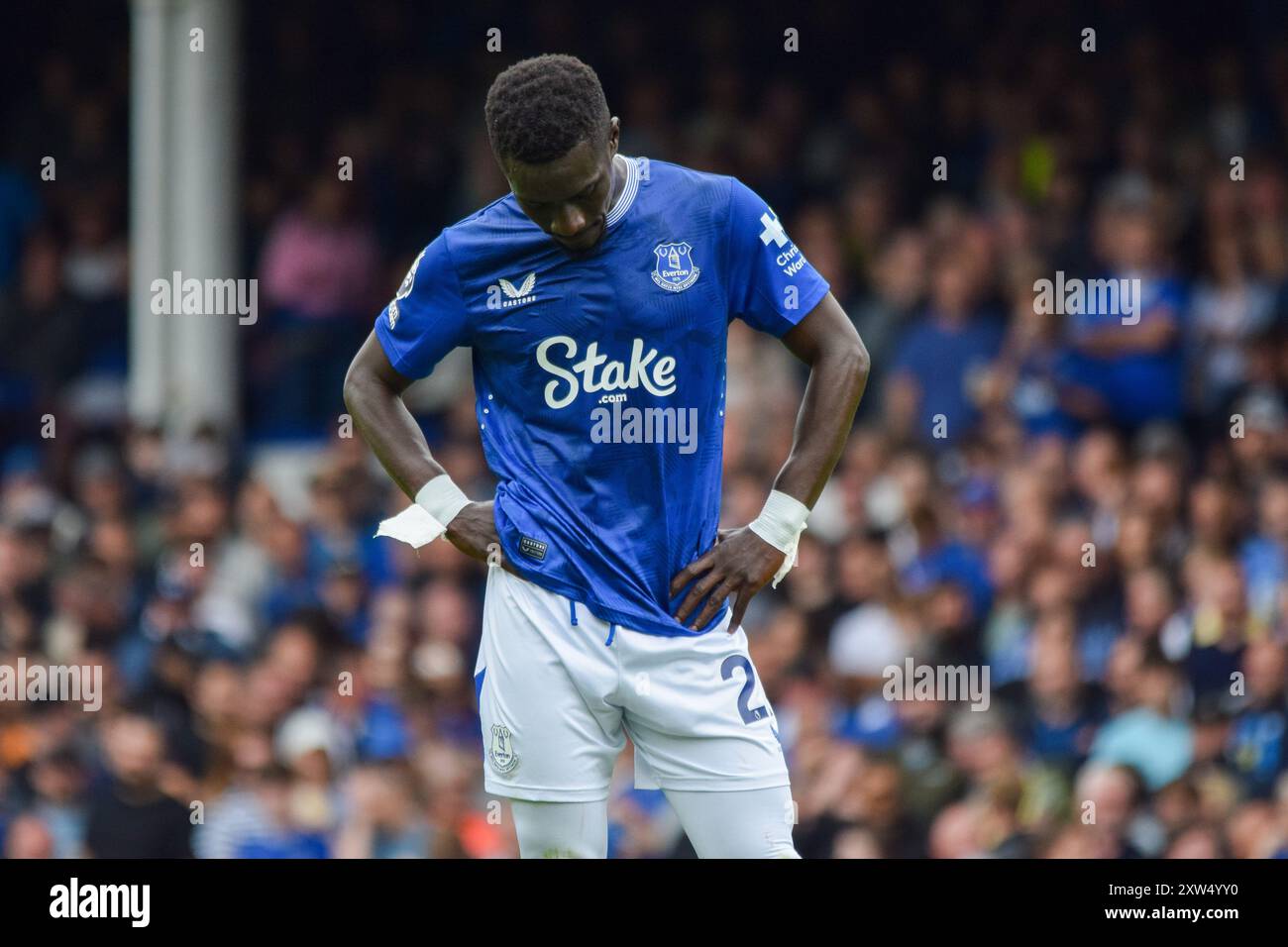 Liverpool, Royaume-Uni. 17 août 2024. Le milieu de terrain d'Everton Idrissa Gueye (27) lors du Everton FC contre Brighton & Hove Albion FC English premier League match à Goodison Park, Liverpool, Angleterre, Royaume-Uni le 17 août 2024 Credit : Every second Media/Alamy Live News Banque D'Images