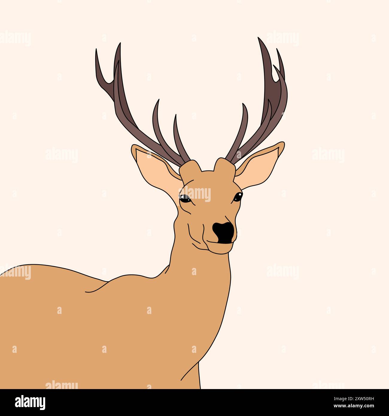 Cerf dans la forêt - illustration de la faune Illustration de Vecteur